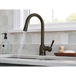 Adler Single-Handle Pull-Down Sprayer Kitchen Faucet with Power Clean and Reflex in Mediterranean Bronze