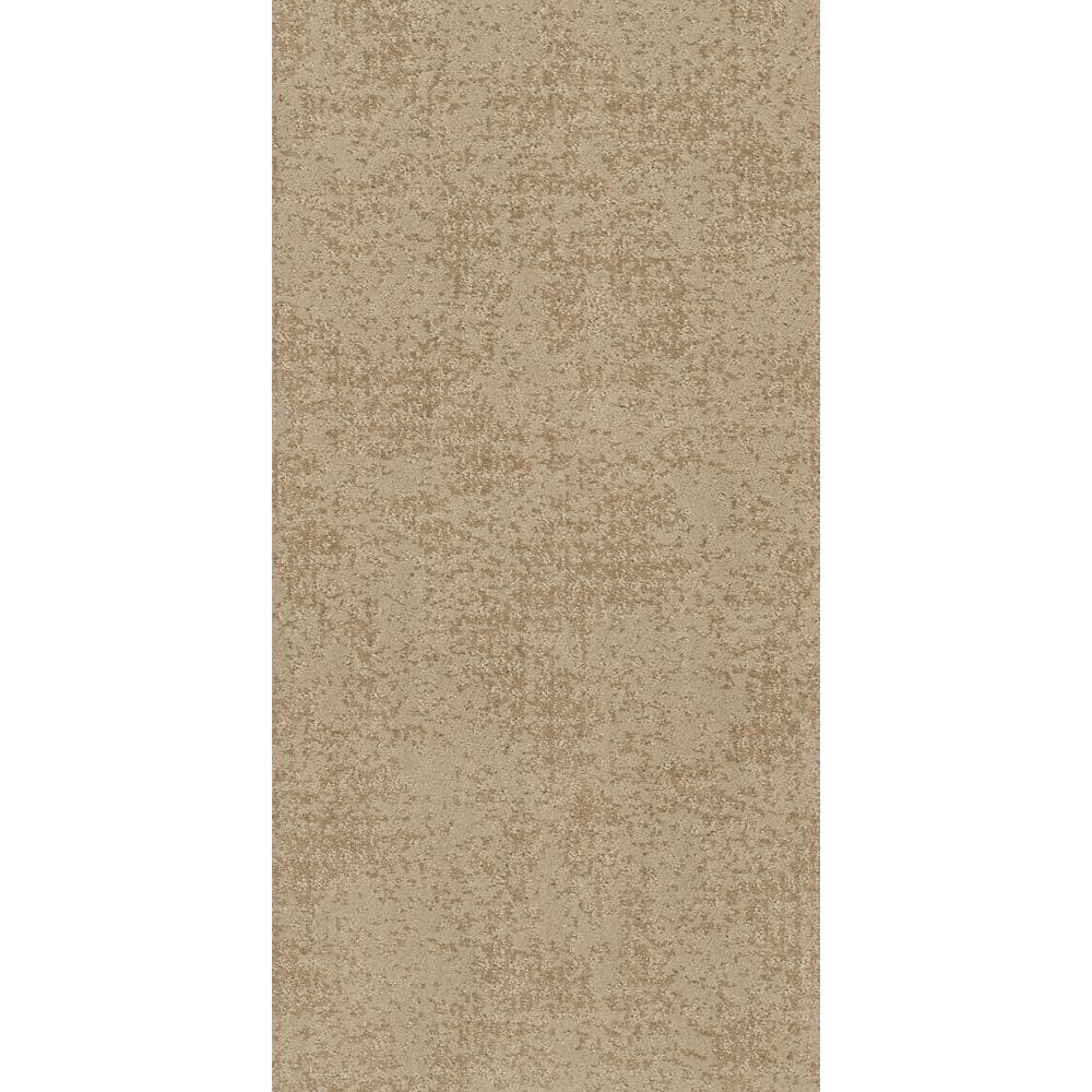 8 in. x 8 in. Pattern Carpet Sample - Elegant Dosinia - Color Ecru Lace price history on PriceWatchPro