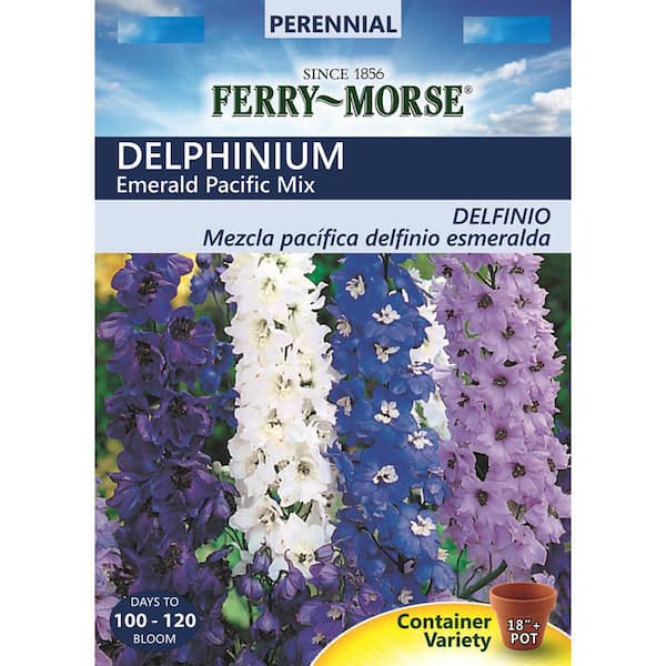 Ferry-Morse Delphinium Emerald Pacific Mix Seed