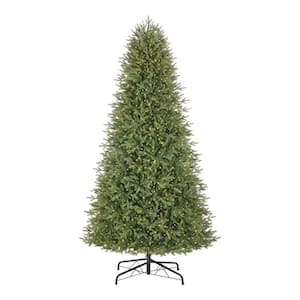 9 ft Jackson Noble Fir Christmas Tree