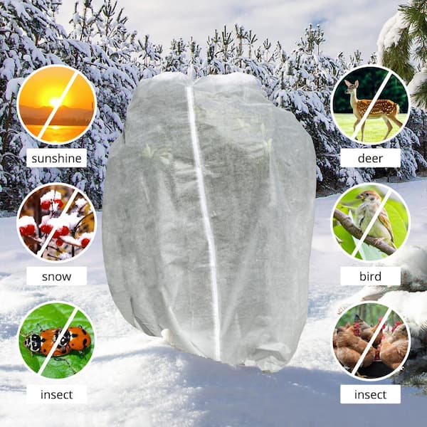 Relaxdays Plant Hat, Set Of 80, Snail Cover, Frost Protection, H X W X D: 22 X 19 X 19 Cm, Green Hat PVC, Transparent - View #11