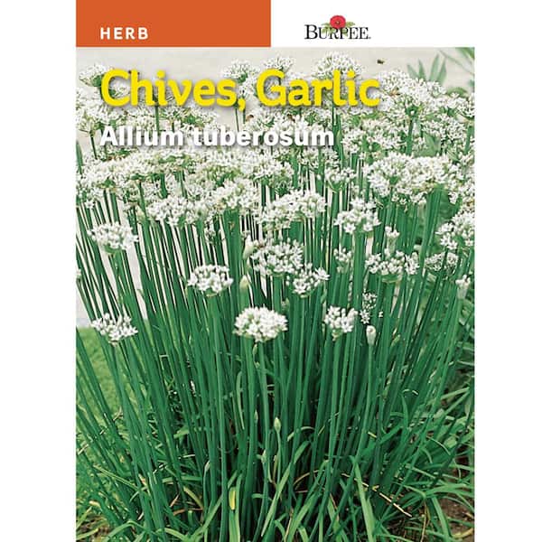 Burpee Chive-Garlic Herb Seed