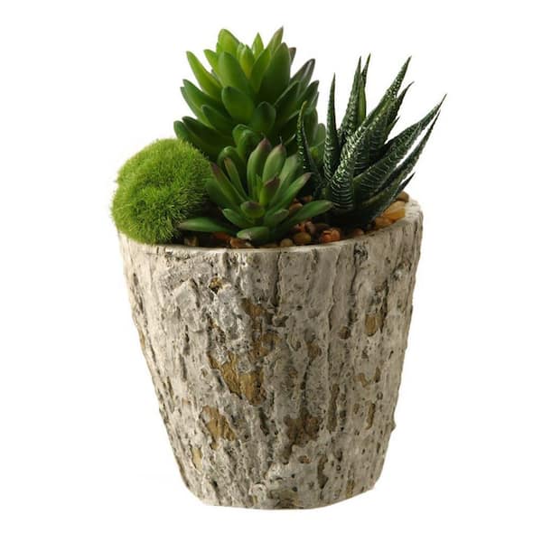 8 in. Indoor Aloe and Mixed Succulents Artificial Plant in Cement Planter-Rustic Faux Greenery for Indoor Decor