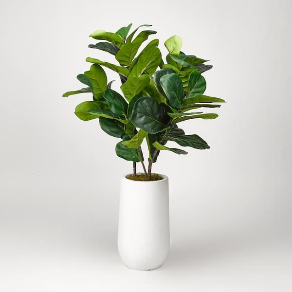 D&W Silks Fiddle Leaf Fig Plant in Round White Planter