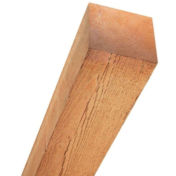 Unbranded 4 in. x 4 in. x 8 ft. Rough Western Red Cedar Wood Fence Lumber Post