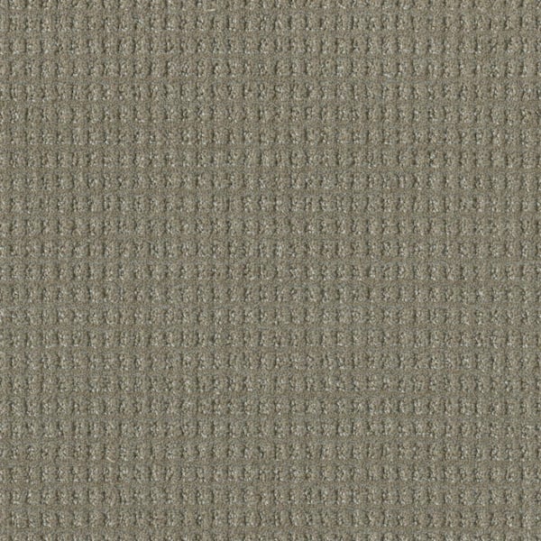 Home Decorators Collection Amaryllis-Amarillo Gray-35 oz. SD Polyester Pattern Installed Carpet