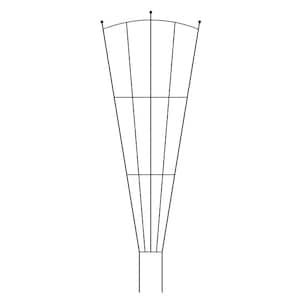 72 in. Metal Fan Trellis Cypress