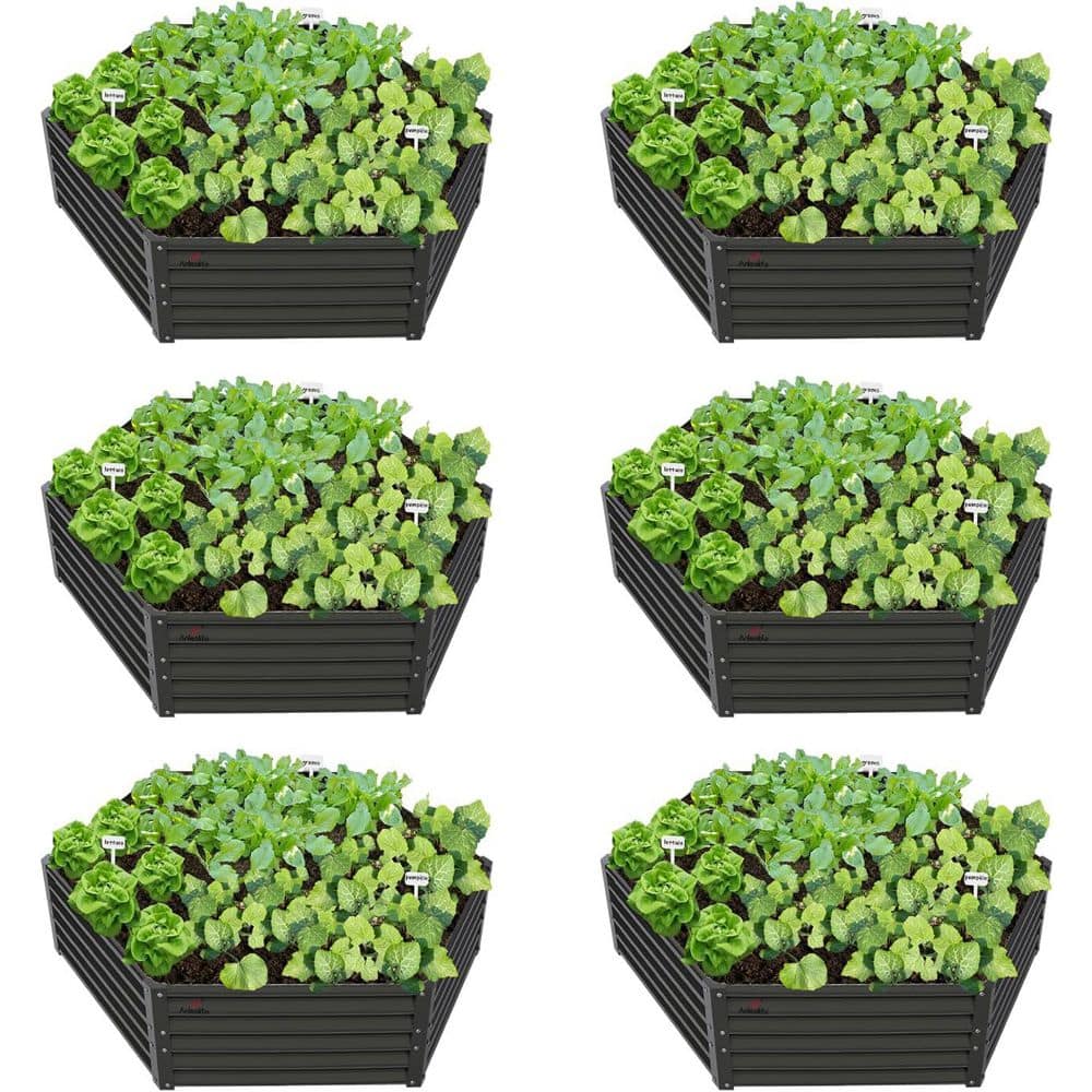 6-Piece Outdoor Gray Hexagon Galvanized Raised Garden Beds, 70 x 60 x 18 in