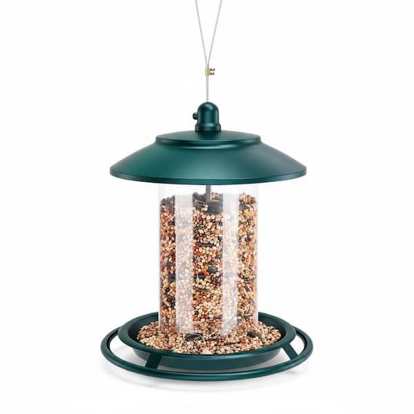 Metal Hanging Bird Seed Feeder for Wild Birds 2 lbs.