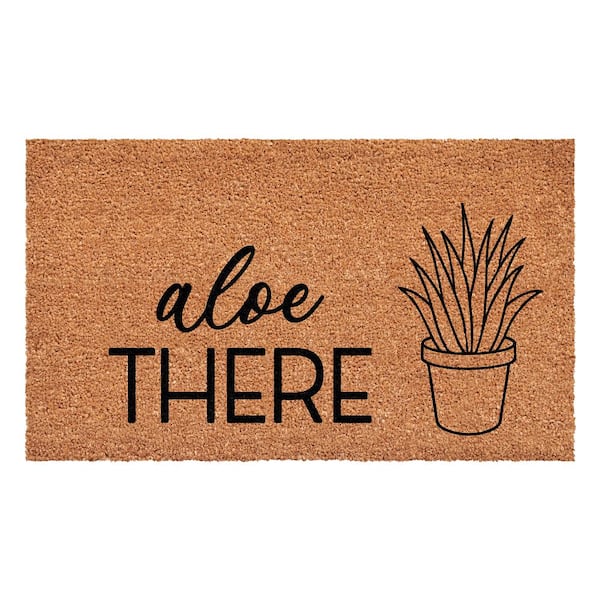 Calloway Mills Aloe There Doormat Multi-Colored 17 in. x 29 in. Indoor or Outdoor Doormat