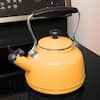 Vintage 6.8-Cups Enamel-on-Steel Ombre Fade Grey Tea Kettle 37