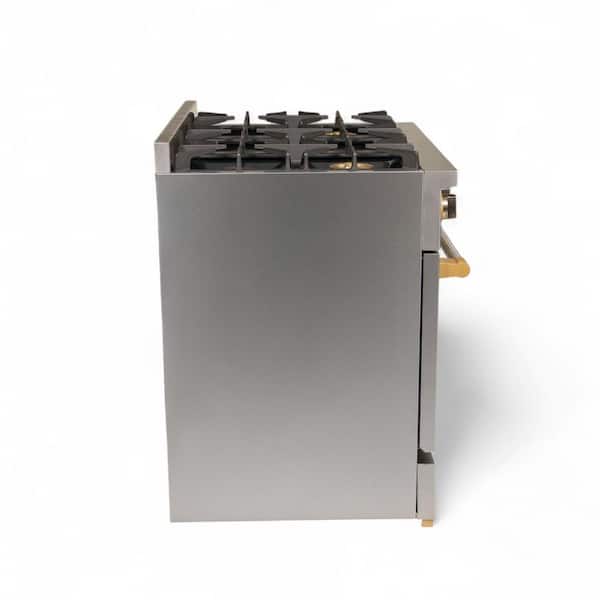 36 in. 6 Burner Freestanding Professional Gas Range