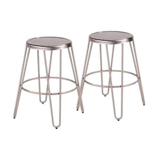 Avery 24 in. Brushed Stainless Steel Counter Stool (Set of 2)