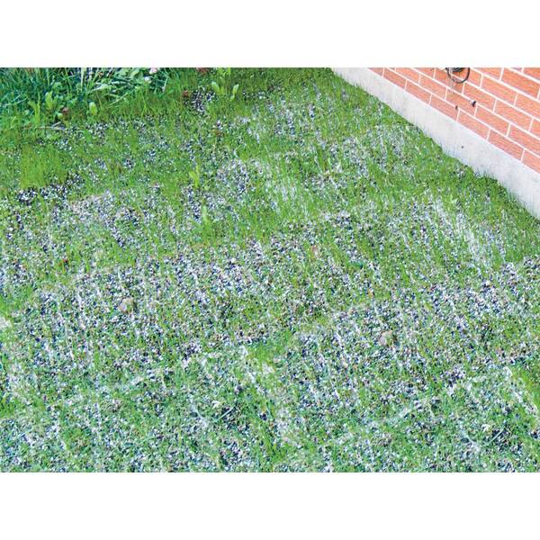 Gardens Alive 18 In X 48 In Turf Alive Iii Lawn Seed Mat With Rhizomes 2198 The Home Depot Gardens Alive 18 In X 48 In Turf Alive Iii Lawn Seed Mat With Rhizomes 2198 The Home Depot