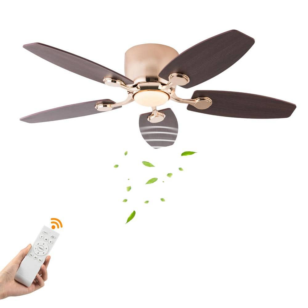 OUKANING 42 in. Indoor Gold Modern 6-Speed Reversible Ceiling Fan with ...