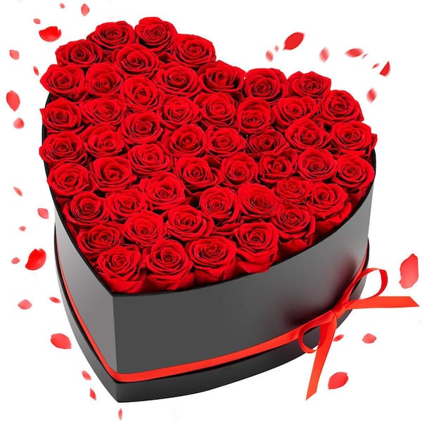 Forever Flowers, 50 Preserved Roses in a Heart Shape Box, Eternal Flowers Immortal Bouquet Birthday Present, Red