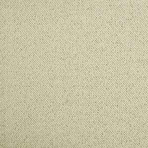 6 in. x 6 in. Berber Carpet Sample - Bismarck - Color Ivory