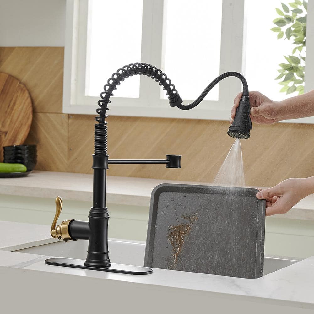 Matte Black and Gold High-Arc Kitchen Faucet with Pull-Out Spray