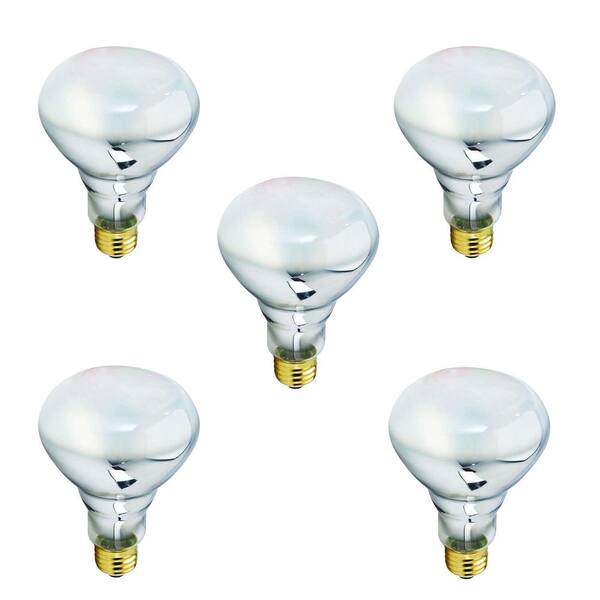 Philips 65-Watt Equivalent BR30 Halogen Dimmable Flood Light Bulb (5-Pack)