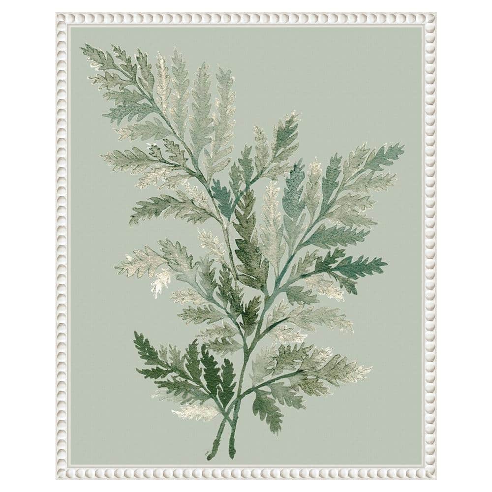Green Ferns Botanical Canvas Print with Beaded White Frame