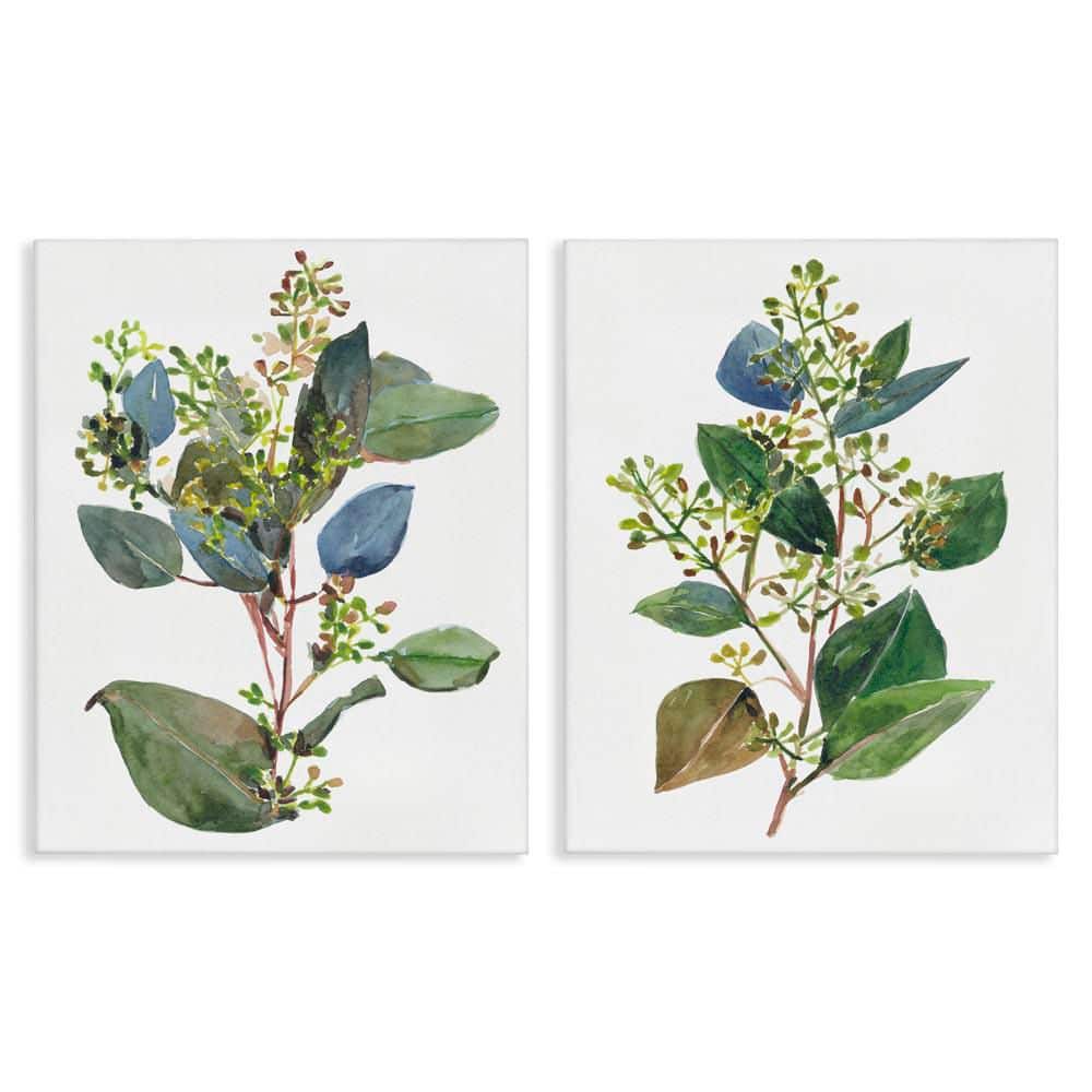 Soft Eucalyptus Plant Ombre Leaves by Melissa Wang 2-Piece Unframed Graphic Art Print Nature 16 in. x 20 in. price history on PriceWatchPro