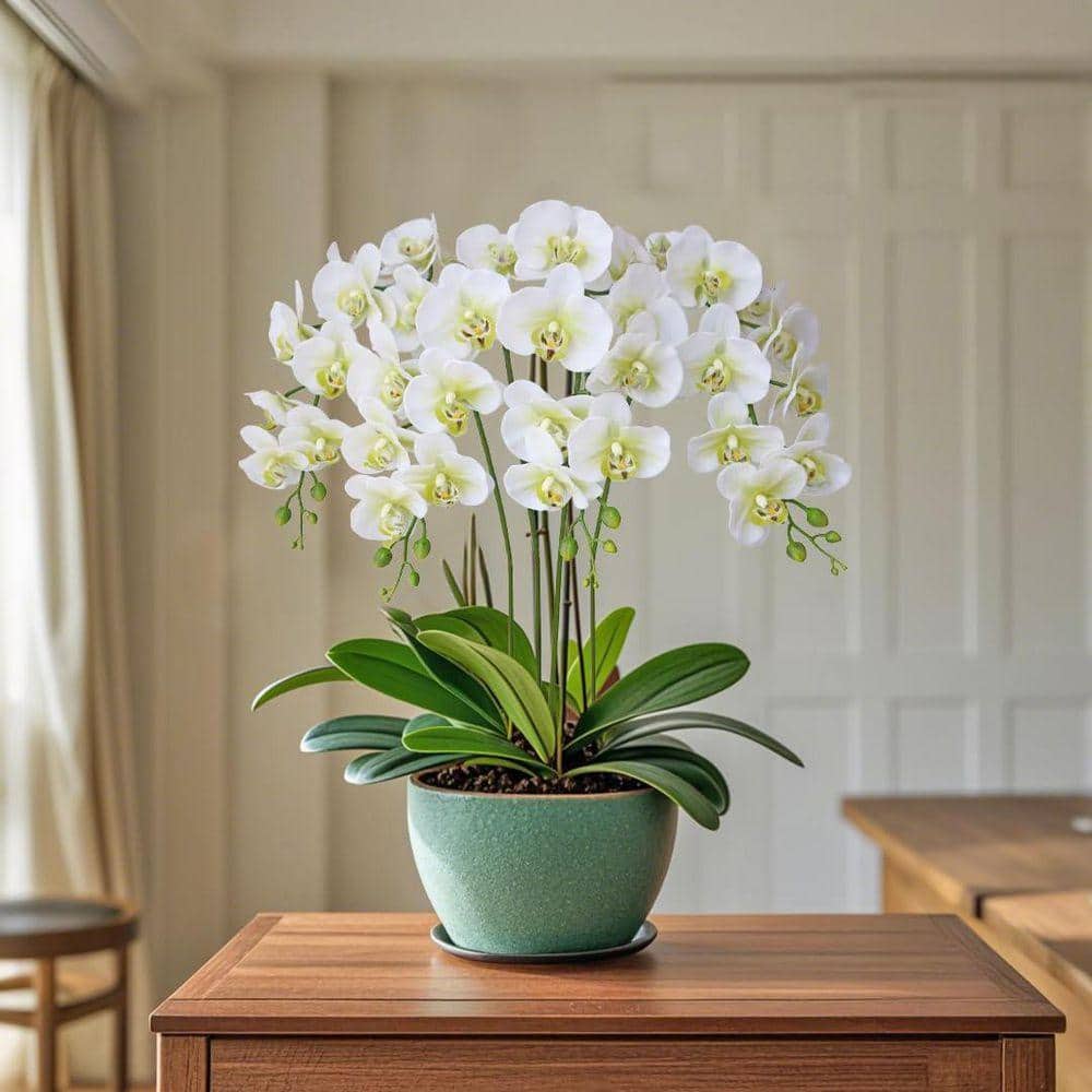 38 in. Green Indoor Artificial Orchid Flower Z0C3H3YV2Q - The Home