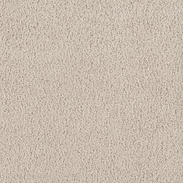 8 in. x 8 in. Texture Carpet Sample - Around The World - Color Cream