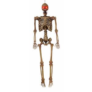 5 ft. Halloween LED Pose-N-Stay Decayed Skeleton