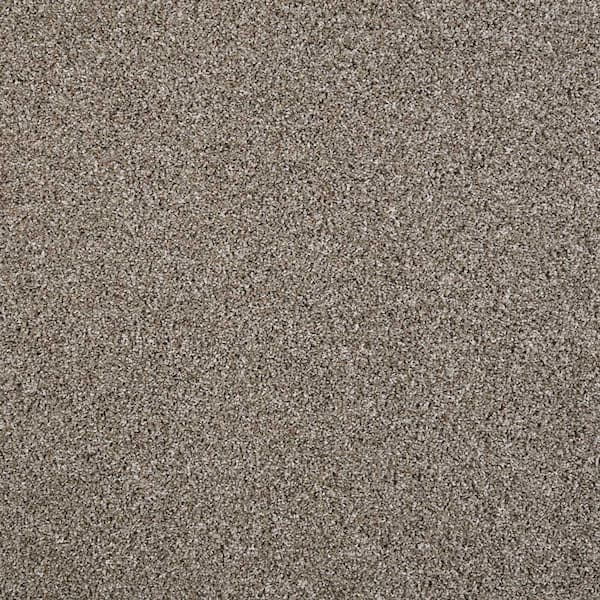 Barx I - Color Dried Peat Indoor Texture Brown Carpet