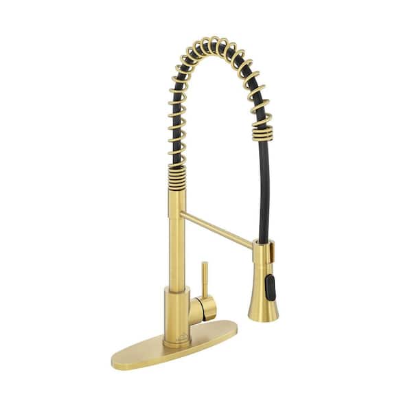 CASAINC Single-Handle Spring Standard Kitchen Faucet with Dual Function Sprayhead and Deckplate Included in Brushed Gold