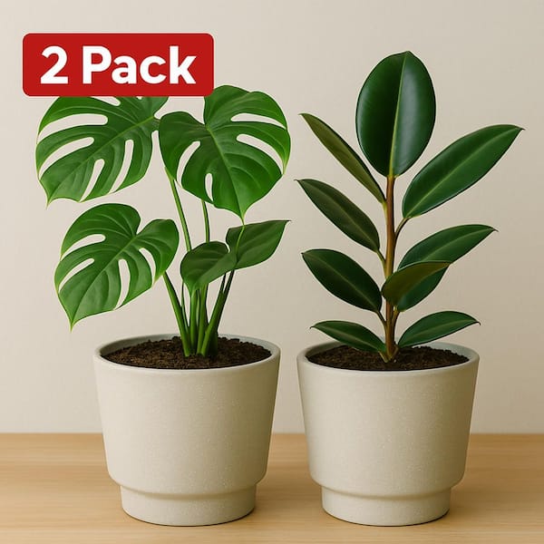 Vigoro 8 in. W x 6.4 in. H Candace Sand Pedestal Resin Decorative Pot with Drainage Holes (2-Pack)