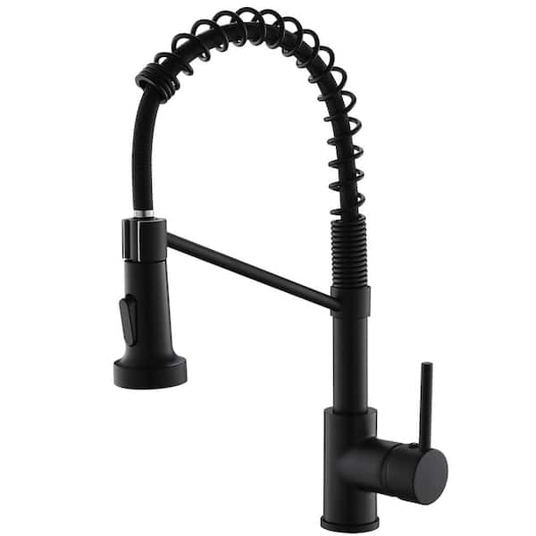 Fapully Single-Handle Pull-Down Sprayer Kitchen Faucet with Dual Function Sprayhead in Matte Black