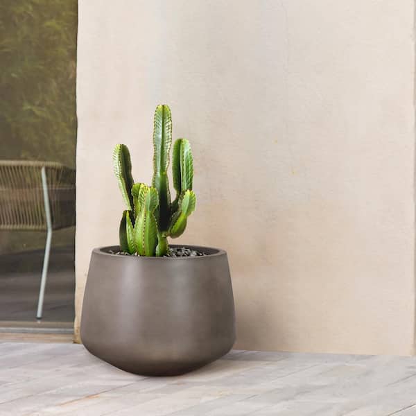 Armen Living 8 in. Tall Amethyst Concrete Indoor or Outdoor Planter in Grey