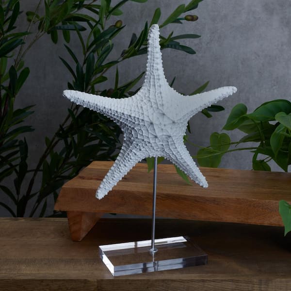 Nautical Crush Trading Stelle Marine Bianche Naturali – Set Da 15, 10-15 Cm, Per Decorazioni E Matrimoni
