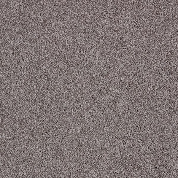Playful Moments II Whisper Gray 49 oz Triexta Texture Installed Carpet