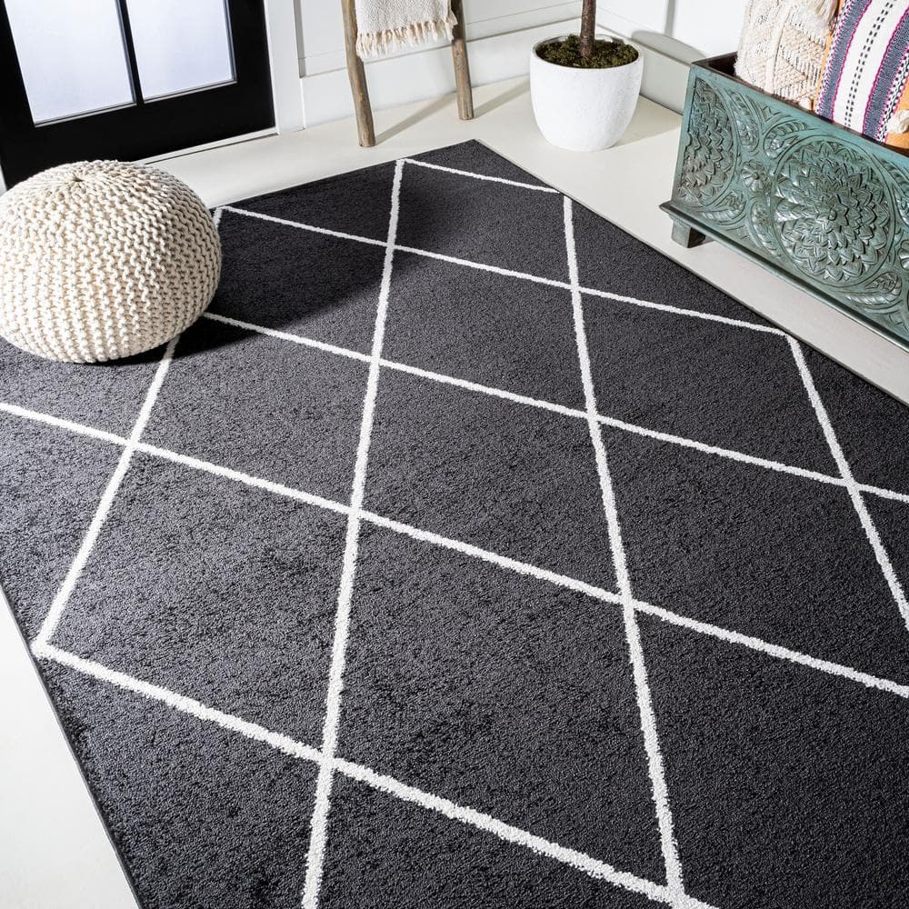 Cole Black and White Diamond Trellis 4' x 6' Area Rug
