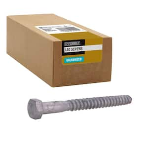 3/8 in. x 5 in. Hex Galvanized Lag Screw (25-Pack)