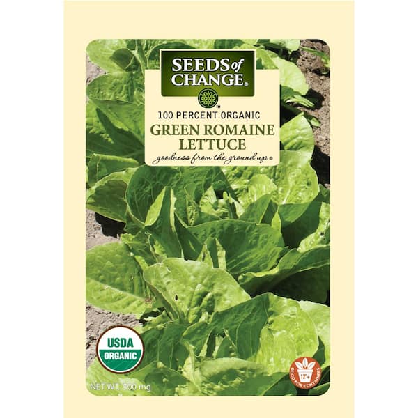 Organic New Red Fire Leaf Lettuce Seeds 250 Milligrams