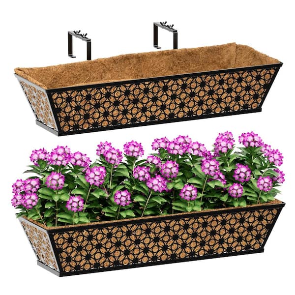 large pots with succulents Succulent Planter With Saucer