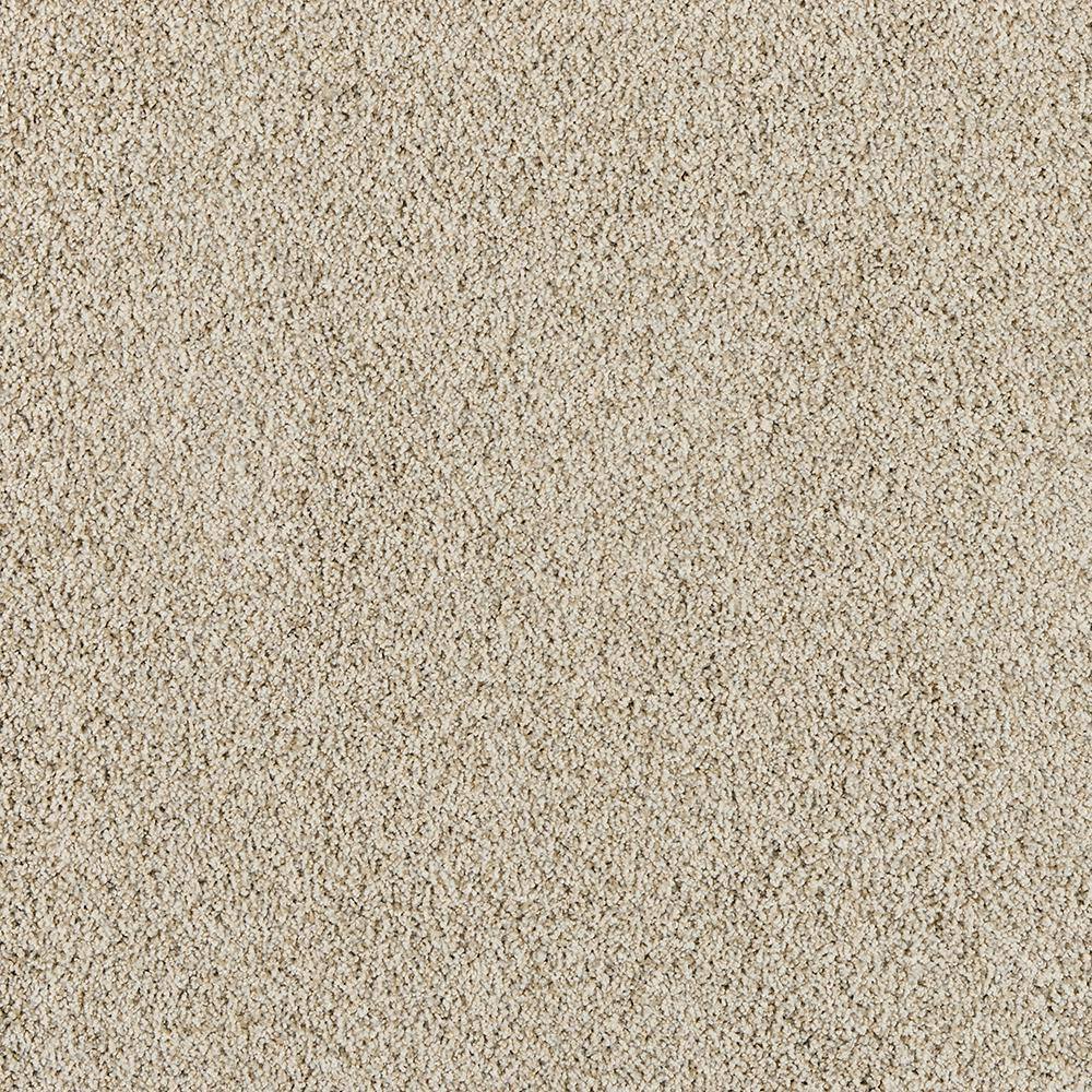 8 in. x 8 in. Texture Carpet Sample - Radiant Retreat I  - Color Tranquil price history on PriceWatchPro