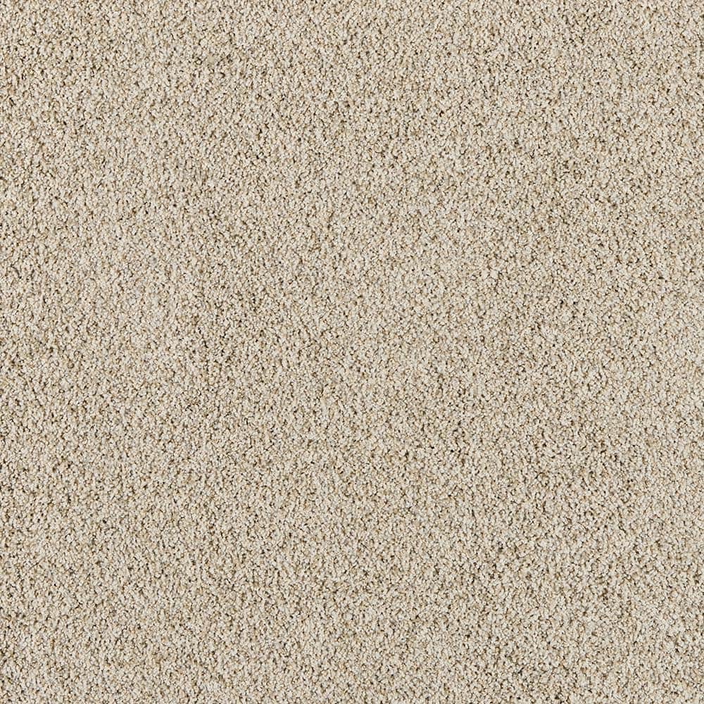 8 in. x 8 in. Texture Carpet Sample - Radiant Retreat III - Color Tranquil price history on PriceWatchPro