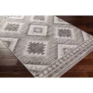 Evelina Charcoal 8 ft. x 10 ft. Indoor Area Rug