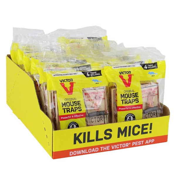 Victor Traditional Wooden Mouse Trap - 12 Pack