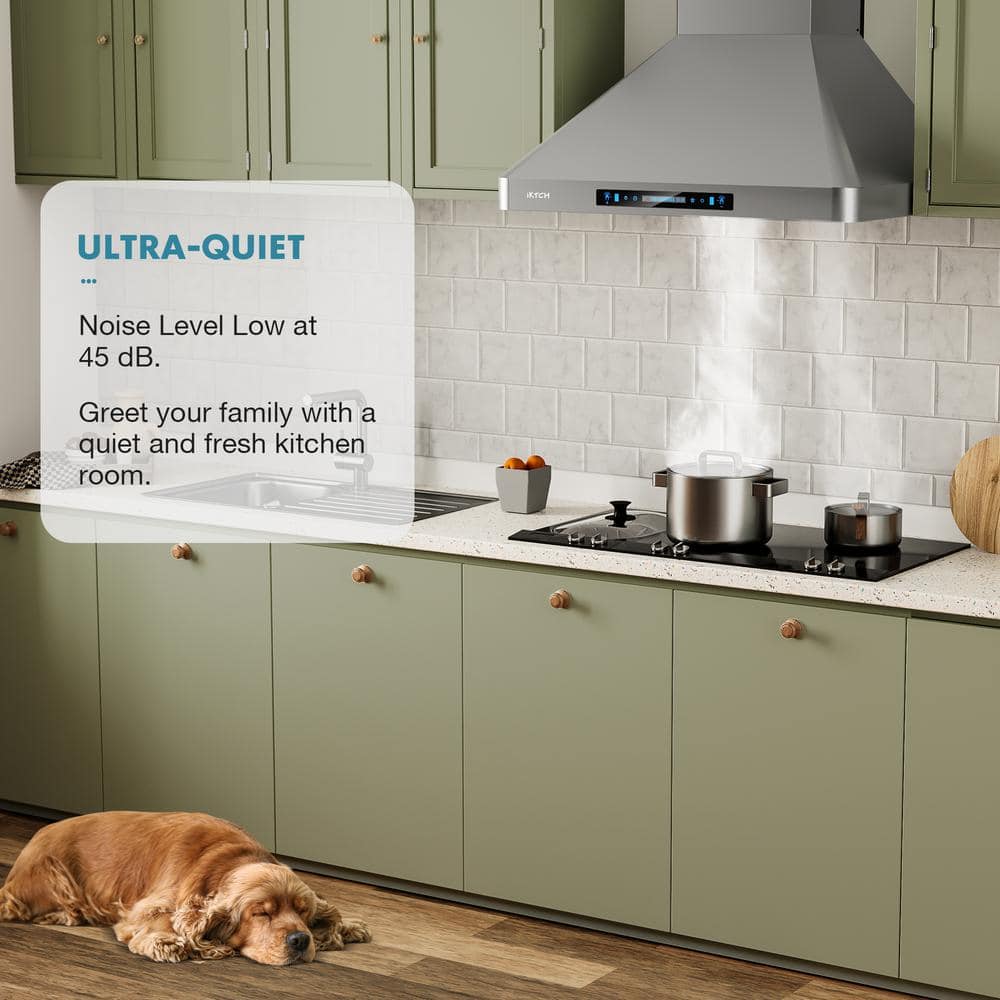 36'' Stainless Steel Convertible Wall Mount Range Hood with Charcoal Filter
