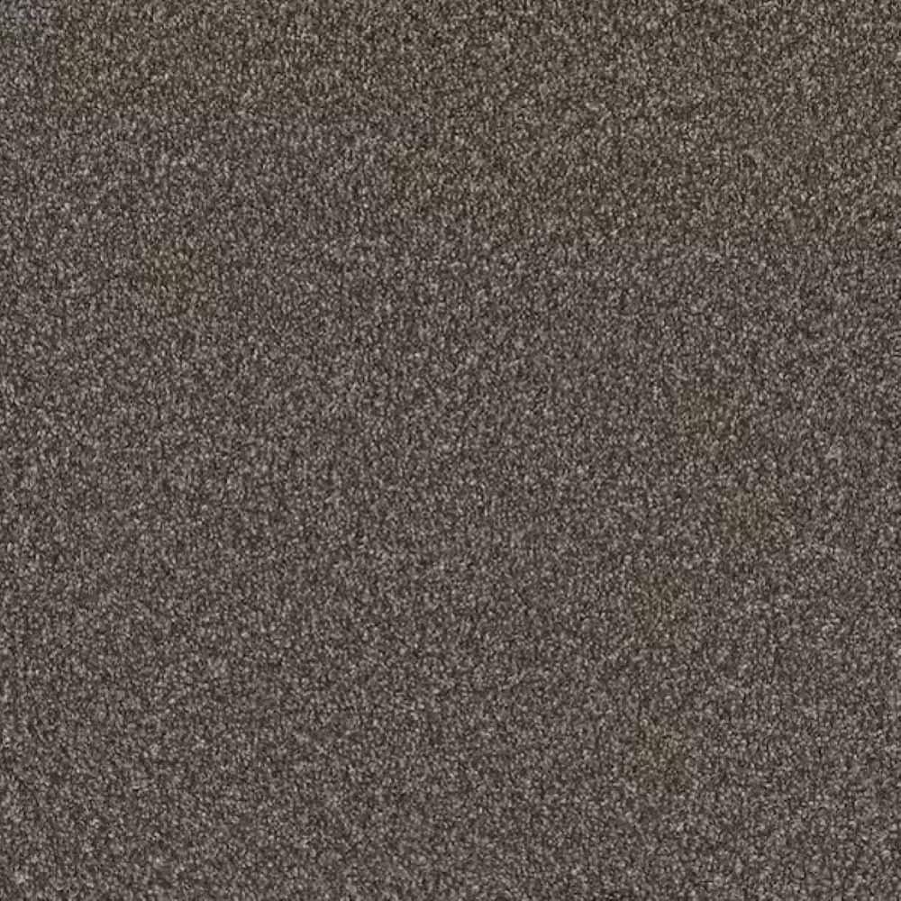 8 in. x 8 in. Texture Carpet Sample-Meringue II-Color Whipped price history on PriceWatchPro