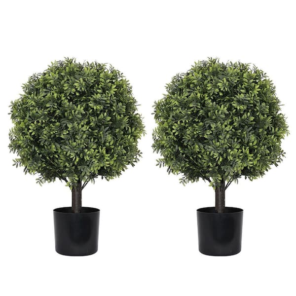 Cerys 1.8 ft. Tall Artificial Topiary Boxwood Ball Trees in Pot for Indoor and Outdoor Use, (Set of 2)