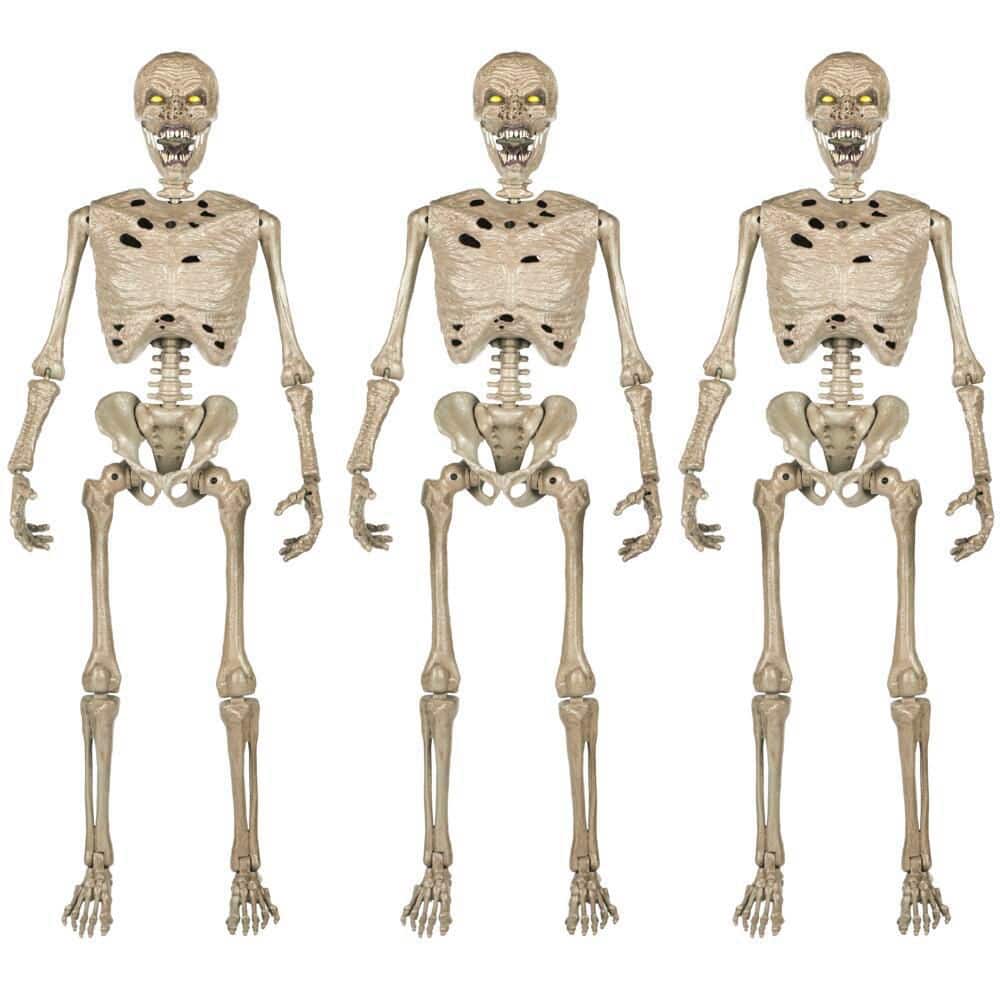 限定10体 planetx CADAVER  HALLOWEEN SPECIAL Home Accents Holiday 3-Pack 5 ft. Grave & Bones LED