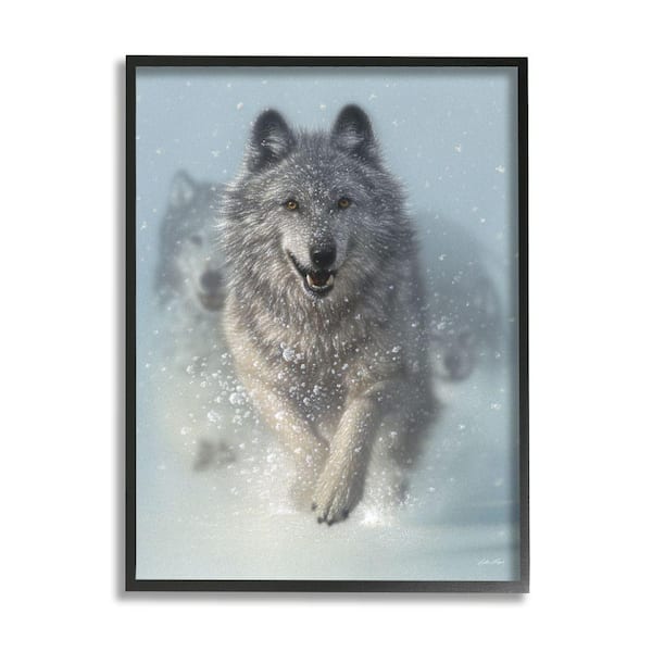 Stupell Industries Wolves Running Snow Siberian Wild Winter Animals By Collin Bogle Framed Print Nature Texturized Art 24 in. x 30 in.