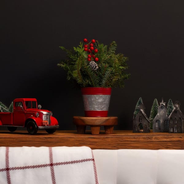 5 in. Fresh Cut Holiday Greens in Tin Bucket