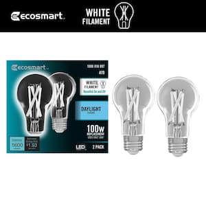 100-Watt Equivalent A19 Dimmable White Filament CEC Clear Glass E26 LED Light Bulb, Daylight 5000K (2-Pack)